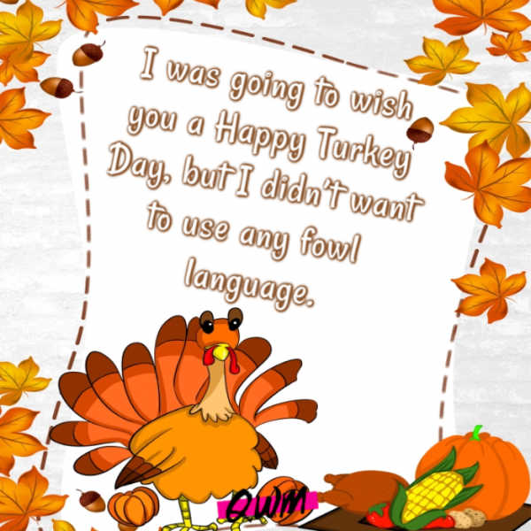 funny thanksgiving 2022 photos free download