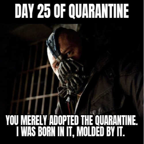 Quarantine pictures funny 