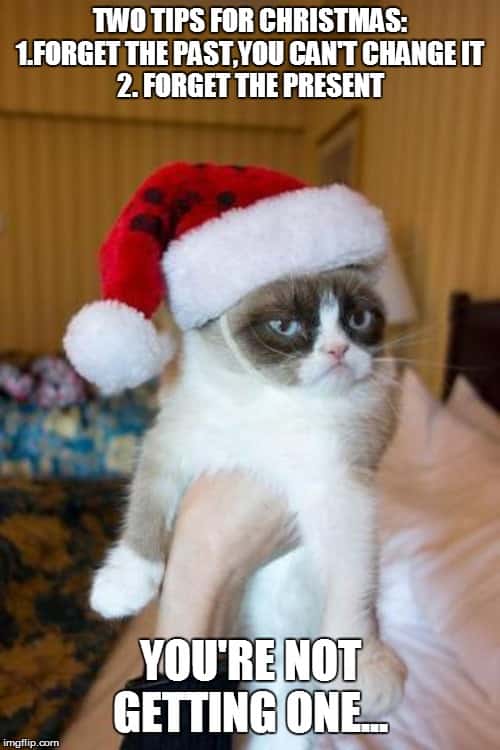 Merry Christmas cat Memes