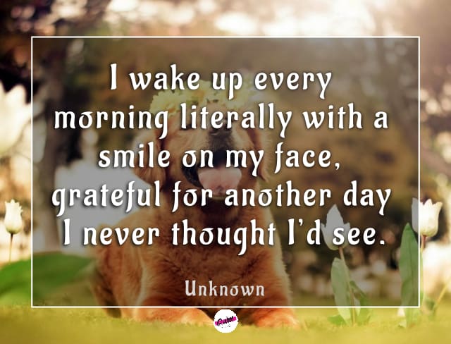 Good Morning Smile Quotes with images