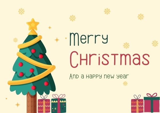 wish you a merry christmas and happy new year